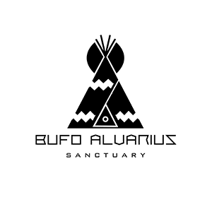 Bufo Alvarius Sanctuary
