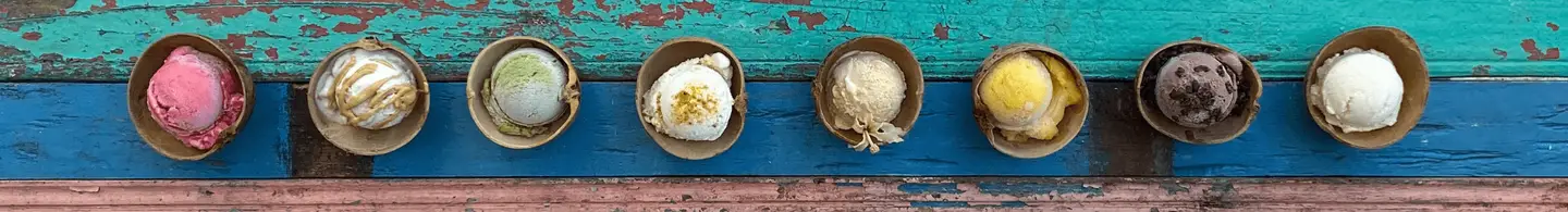 Giungla Gelato