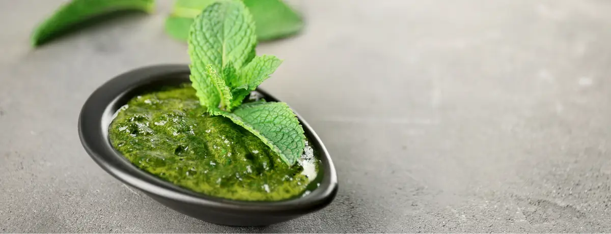 Mint chutney (2oz)