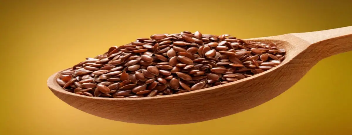 Linseed 500 g bag