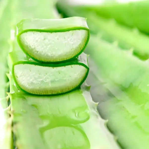 Aloe vera drink  1 liter bottle
