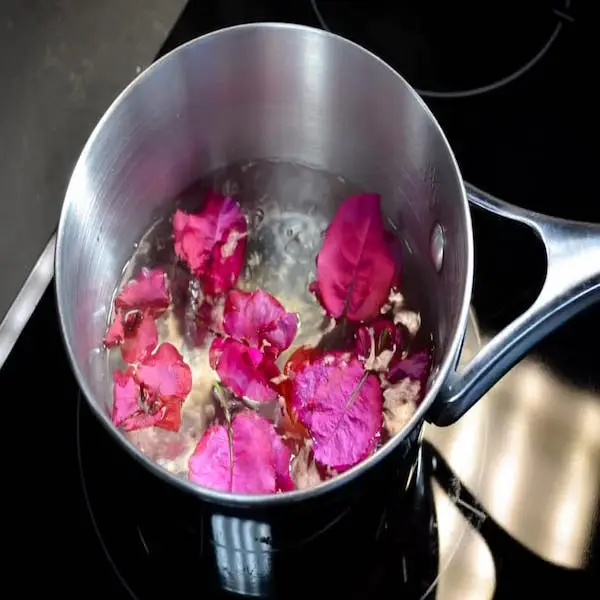 Eucalyptus bougainvillea and mullein_verbascum thapsus 30g (tea)