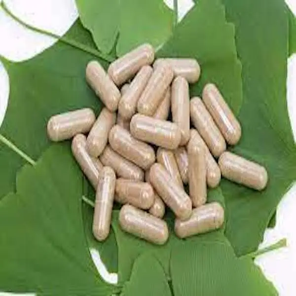 Ginkgo biloba, l.