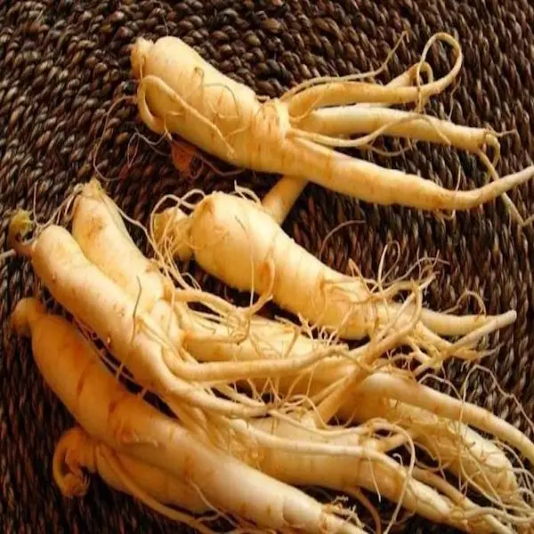 Ginseng with royal jelly 500 mg