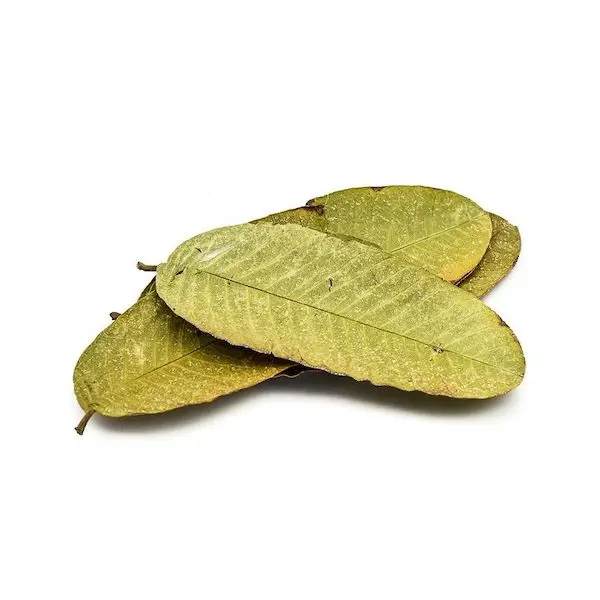 Guava leaf capsules (psidium guajaba linneo) 500 mg