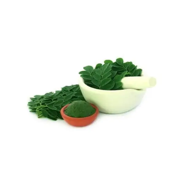 Moringa extract 70 ml (to make infusion)