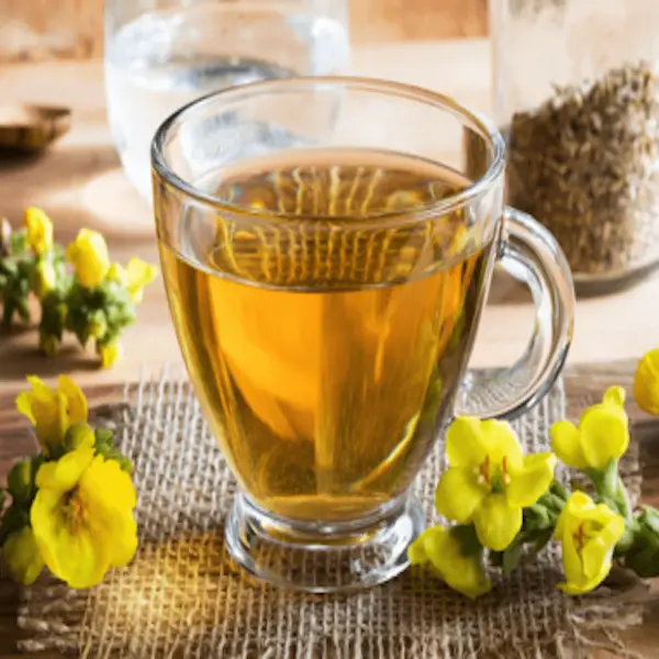 Tea based on eucalyptus, hawthorn, mullein, gramboyant & propolis