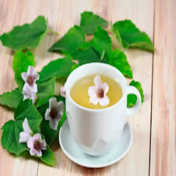  Chinese mallow & senna tea  (malva veticellata & cassia angustifolia)
