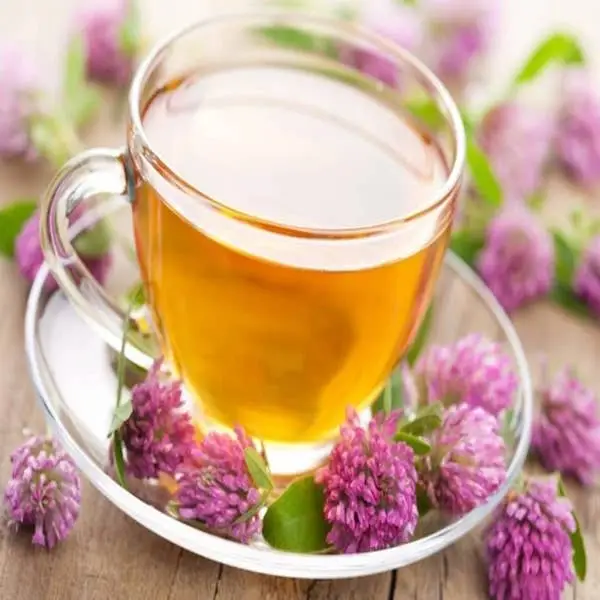 Jourkins tea (leucophyllum frutescens & agastache mexicana)
