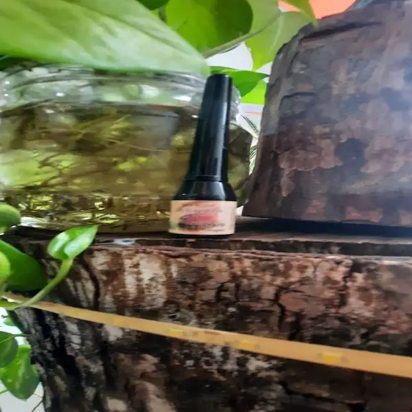  4 In 1 black inkwell
