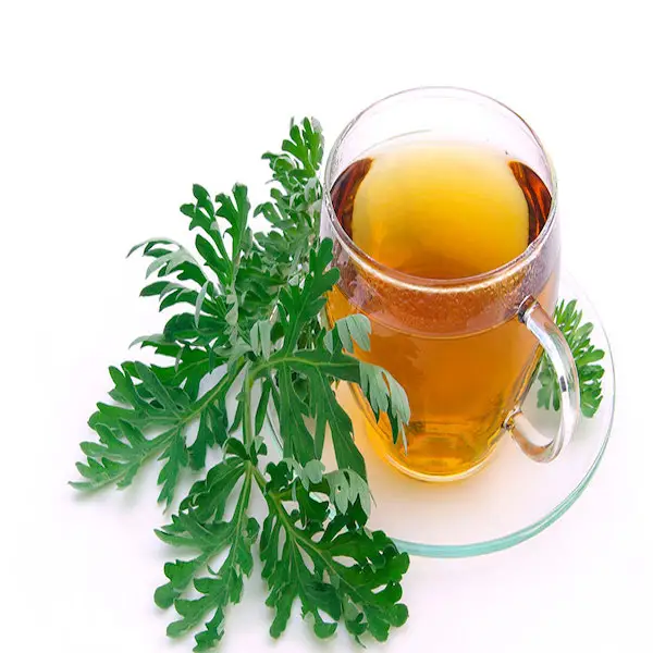 Wormwood leaves and stems 50 g (to make infusion)