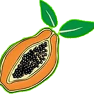 Papaya Pizza Papaya Pizza