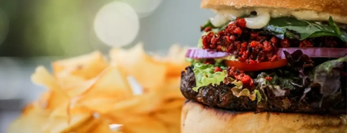 Mexicanota burger