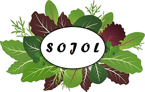 Sojol